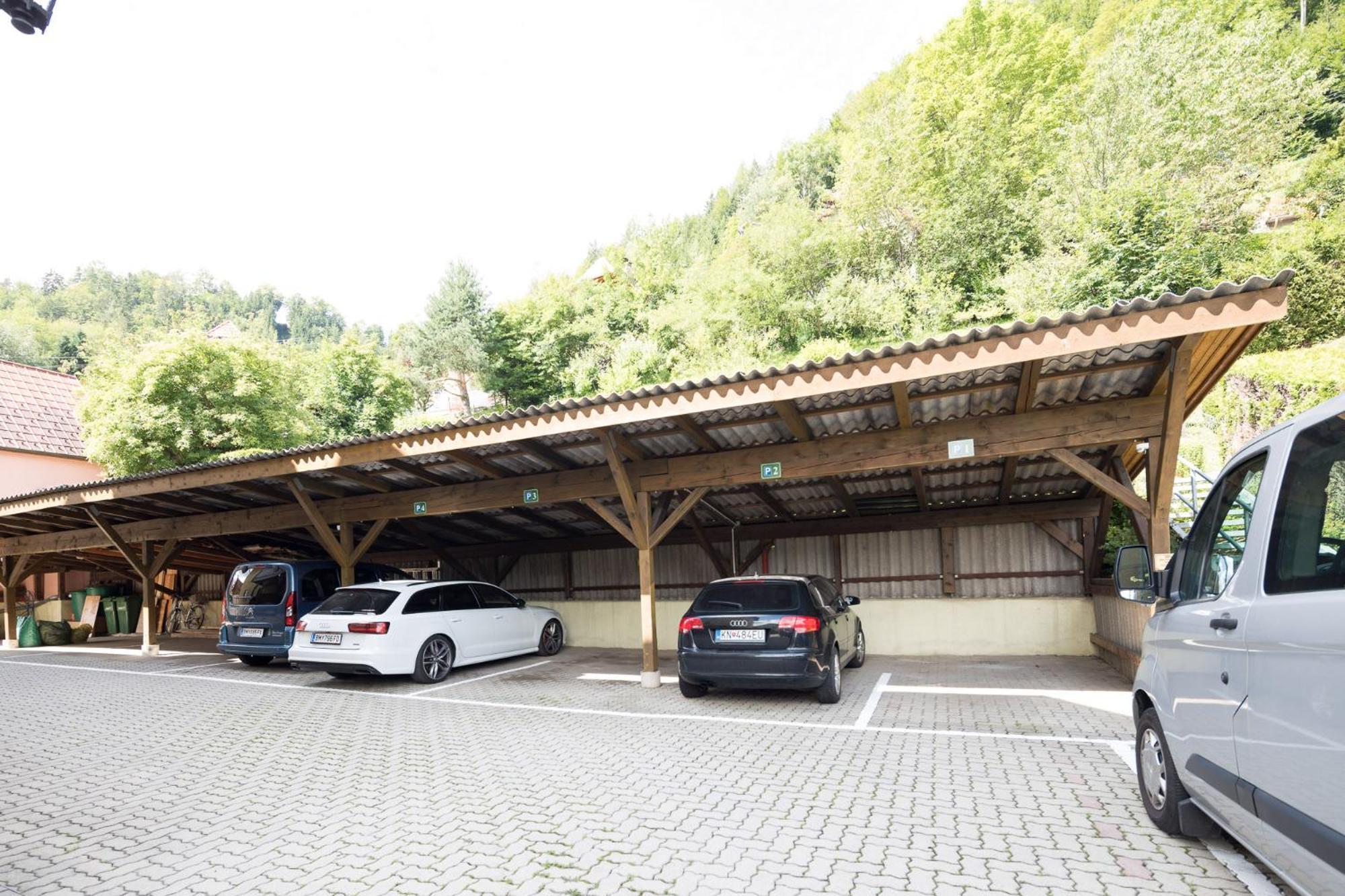 Villa Ganzstein Murzzuschlag Ngoại thất bức ảnh